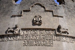 yedi kardeş